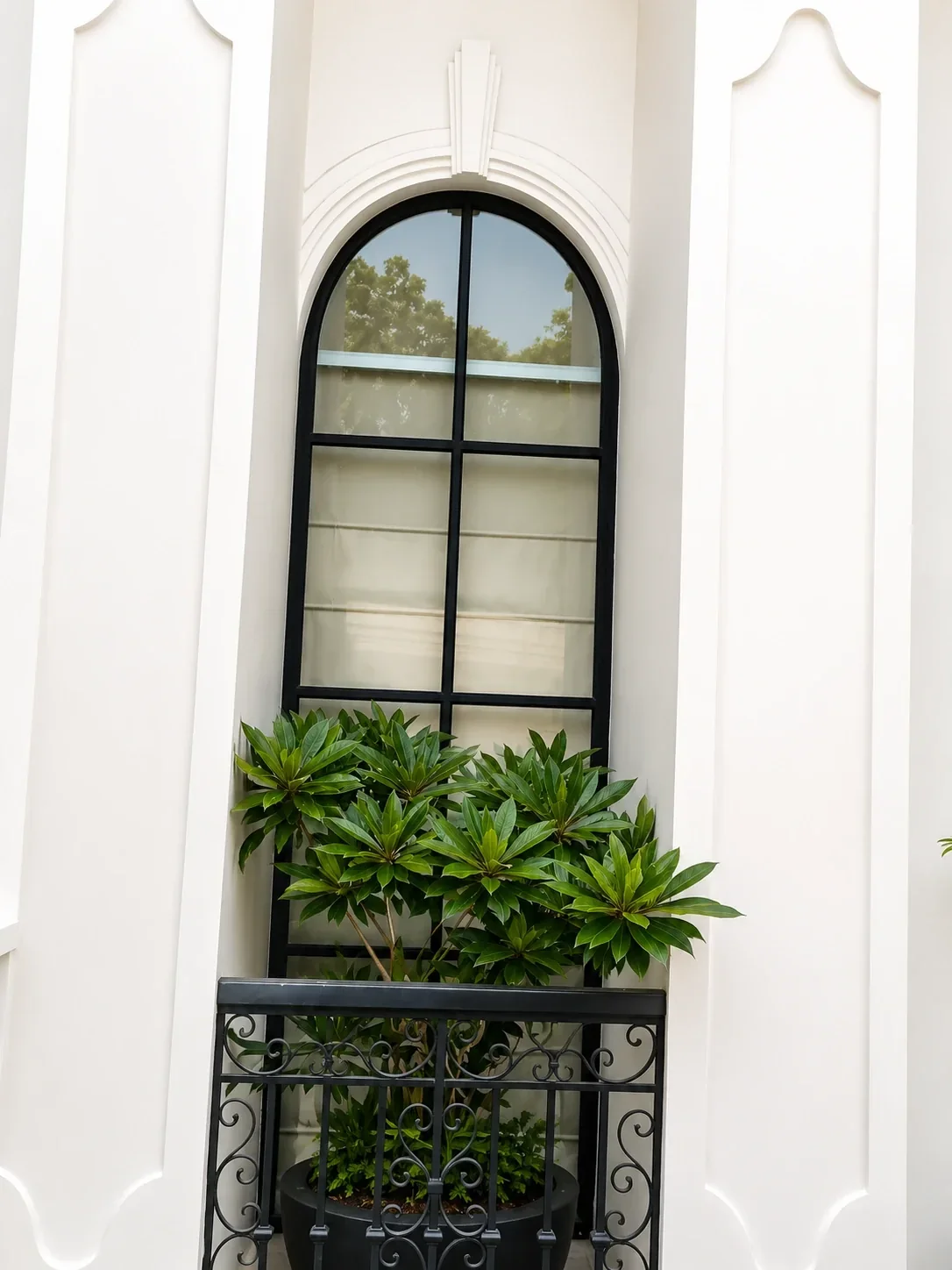 Arc & Arched Windows product detail